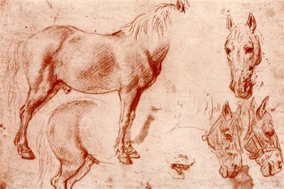 Studia Koni, 1913. autorstwa Peter Paul Rubens