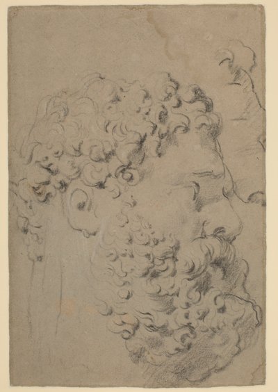 Badania głowy i profilu Herkulesa Farnese widzianego z niższego punktu widzenia autorstwa Peter Paul Rubens