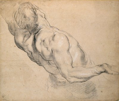 Studium nagiego męskiego tułowia, 1600-1640 autorstwa Peter Paul Rubens