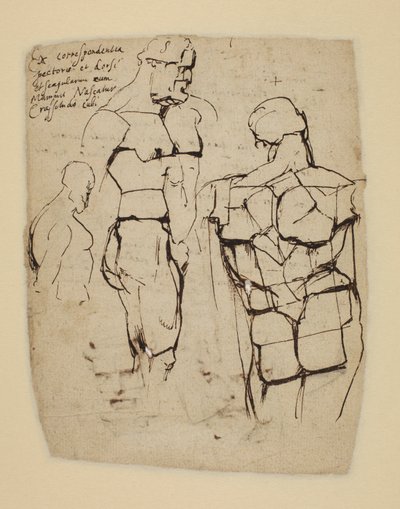 Studium Herkulesa Farnese autorstwa Peter Paul Rubens