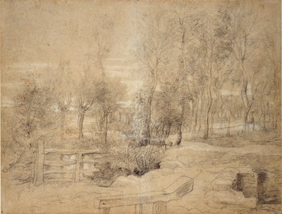 Scena leśna, początek XVII wieku autorstwa Peter Paul Rubens
