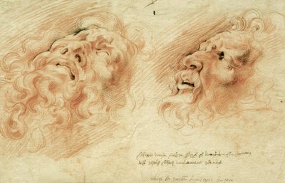 Dwa studia po szefie Laokoona autorstwa Peter Paul Rubens