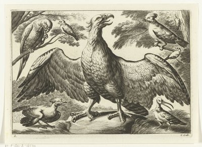 Orzeł Gatunki Diversarum avium (tytuł serii) Różne ptaki (tytuł serii) autorstwa Peter van Liesebetten