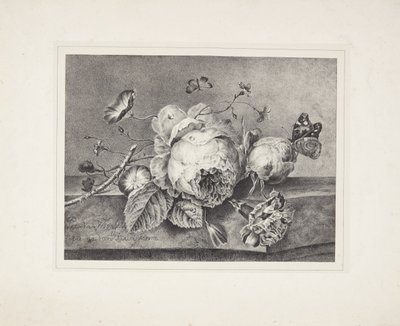Kwiat martwa natura autorstwa Petronella van Woensel
