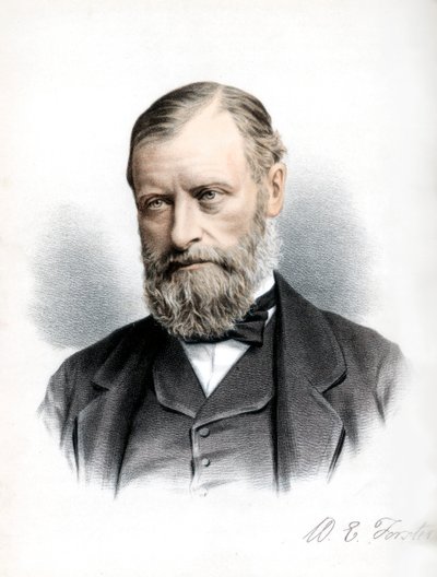 William Edward Forster, brytyjski polityk liberalny, c1890. autorstwa Petter and Galpin Cassell