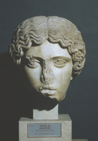 Głowa Amazona autorstwa Phidias Phidias