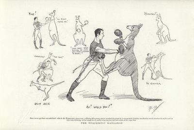 Pugilistyczny kangur autorstwa Phil May