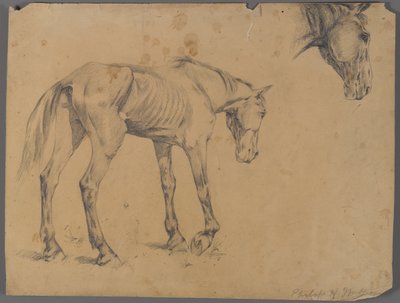 Koń i głowa konia (grafit na papierze) autorstwa Philip H. Wolfrom