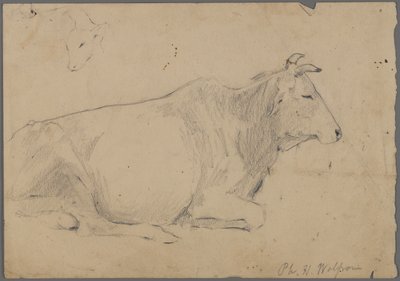 Siedzący byk (grafit na papierze) autorstwa Philip H. Wolfrom