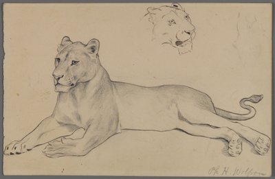 Siedząca lwica (grafit i tusz na papierze) autorstwa Philip H. Wolfrom