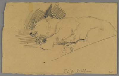 Śpiący niedźwiedź polarny (grafit na papierze) autorstwa Philip H. Wolfrom