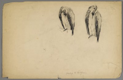 Sępy (węgiel drzewny na papierze) autorstwa Philip H. Wolfrom