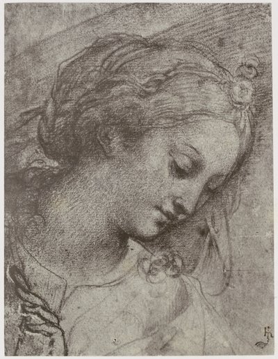 Carlo Dolci, Głowa Dziewicy autorstwa Philip Henry Delamotte