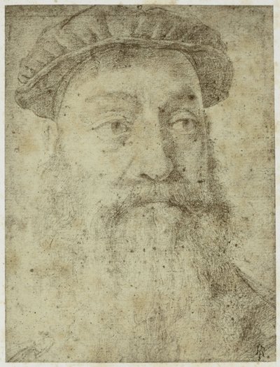Zdjęcie z „Studium do portretu Stefano Colonny” Bronzino autorstwa Philip Henry Delamotte