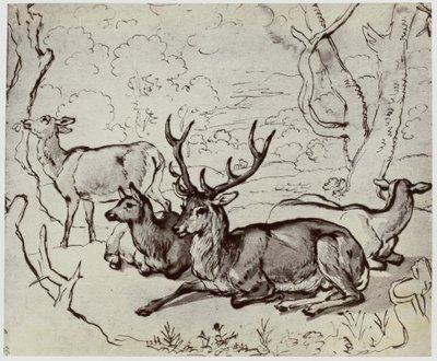 Jeździec, Jeleń autorstwa Philip Henry Delamotte