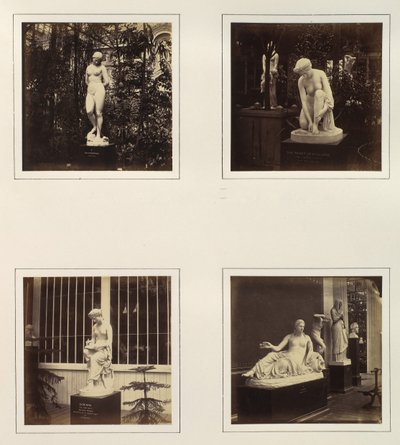 [Rzeźby Andromedy, Toaleta Atalanty, Corinny i Najady], ok. 201 1859. autorstwa Philip Henry Delamotte.