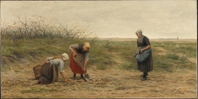 Kobiety z Scheveningen czytają pole zebranych ziemniaków autorstwa Philip Sadée