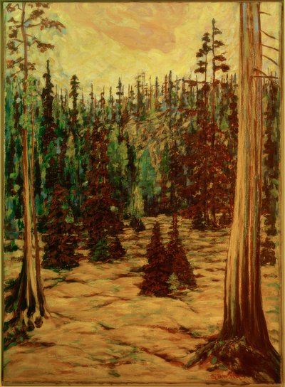 Sommerwald autorstwa Philipp Bauknecht