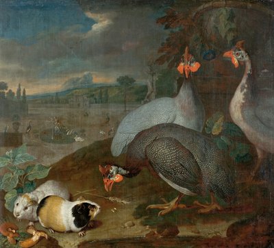 Perliczki ze świnkami morskimi autorstwa Philipp Ferdinand de Hamilton