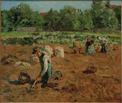 Zbiór ziemniaków autorstwa Philipp Franck