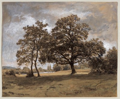 Dąb Otto Fröhlicher autorstwa Philipp Röth