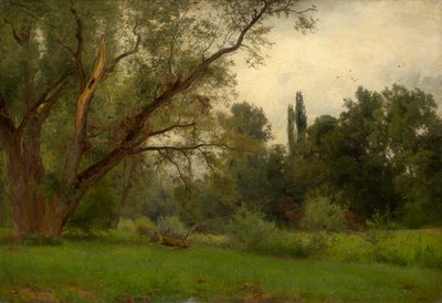 W parku Kleinheubach am Main autorstwa Philipp Röth