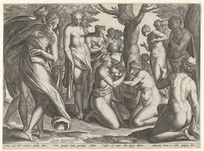 Narodziny Adonisa Historia Adonisa (tytuł serii) autorstwa Philips Galle