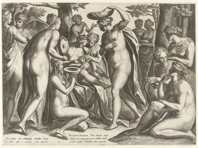 Edukacja Adonisa Historia Adonisa (tytuł serii) autorstwa Philips Galle