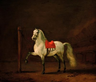 Biały koń w stajni autorstwa Philips Wouwerman