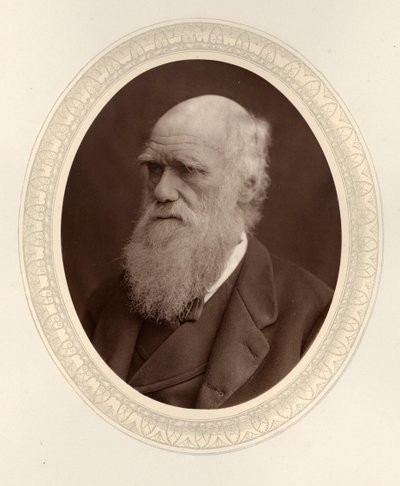 Portret Karola Darwina 1809-1882, 1877. autorstwa Photo studio Lock and Whitfield