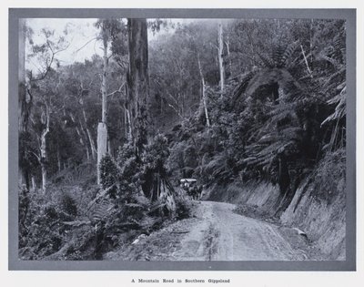 Górska droga w południowym Gippsland (zdjęcie czarno-białe) autorstwa Photographer Australian
