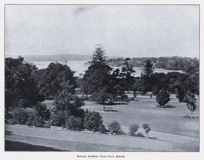 Ogrody Botaniczne, Farm Cove, Sydney (zdjęcie czarno-białe) autorstwa Photographer Australian