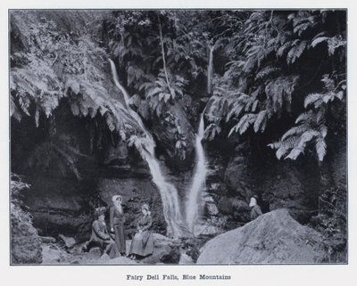 Fairy Dell Falls, Góry Błękitne (zdjęcie czarno-białe) autorstwa Photographer Australian