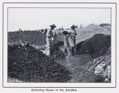 Zbieranie Guano w Abrolhos (zdjęcie czarno-białe) autorstwa Photographer Australian
