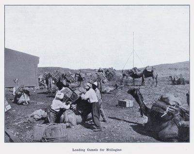 Ładowanie wielbłądów do Nullagine (zdjęcie czarno-białe) autorstwa Photographer Australian