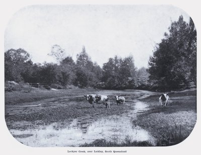 Lockyer Creek, niedaleko Laidley, South Queensland (zdjęcie czarno-białe) autorstwa Photographer Australian