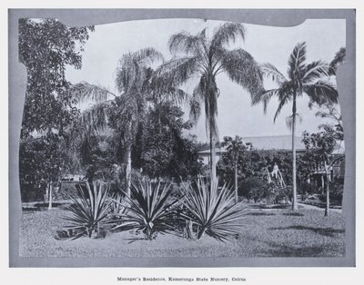 Rezydencja menedżera, żłobek państwowy Kamerunga, Cairns (zdjęcie czarno-białe) autorstwa Photographer Australian