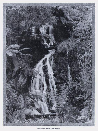 Wodospad Mathinna, Healesville (zdjęcie czarno-białe) autorstwa Photographer Australian