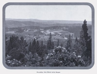 Piccadilly, z Mount Lofty Ranges (zdjęcie czarno-białe) autorstwa Photographer Australian