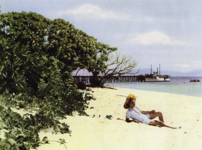 Queensland, Australia: Tropikalna plaża (zdjęcie) autorstwa Photographer Australian