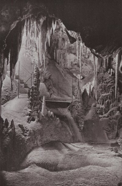 Scena w słynnych Jaskiniach Jenolan, Nowa Południowa Walia (zdjęcie czarno-białe) autorstwa Photographer Australian