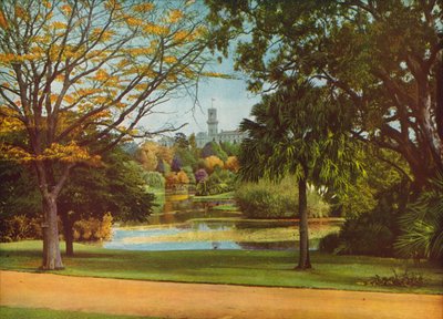 State Government House, Melbourne (zdjęcie kolorowe) autorstwa Photographer Australian