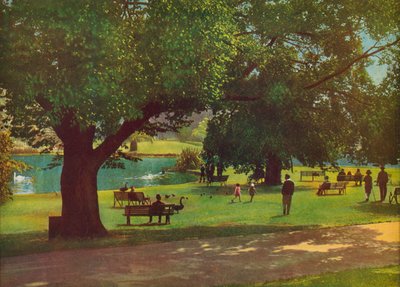 Ogród Botaniczny, Melbourne (zdjęcie kolorowe) autorstwa Photographer Australian