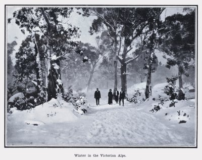 Zima w Alpach Wiktoriańskich (zdjęcie czarno-białe) autorstwa Photographer Australian