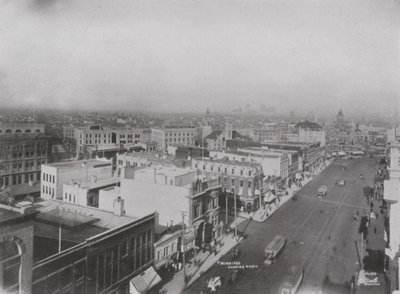 Winnipeg z lotu ptaka (zdjęcie czarno-białe) autorstwa Photographer Canadian
