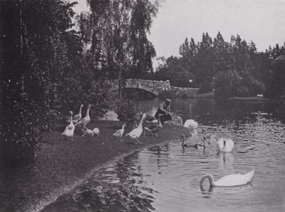 Jezioro, Park Beacon Hill, Wiktoria, Kolumbia Brytyjska (zdjęcie czarno-białe) autorstwa Photographer Canadian