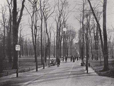 W Tiergarten, Ahornsteig (zdjęcie czarno-białe) autorstwa Photographer German