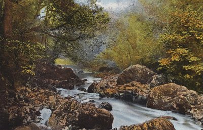 Irlandia: In The Dargle, hrabstwo Wicklow (kolorowe zdjęcie) autorstwa Photographer Irish
