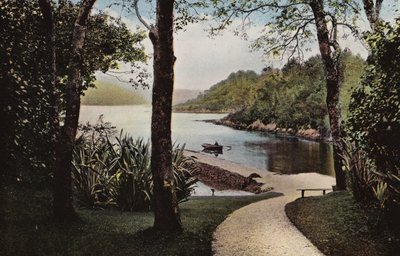 Irlandia Południowa: Wyspa Garinish, Parknasilla, Hrabstwo Kerry (kolorowe zdjęcie) autorstwa Photographer Irish