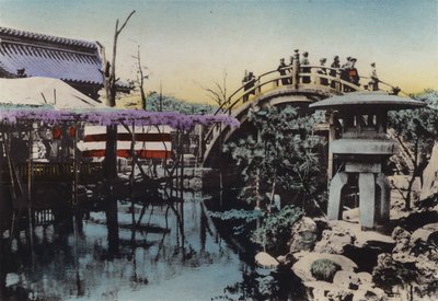 Japonia, ok. 1912: Teren świątyni Kameido, w którym w maju kwitnie Wisteria i most Drum Bridge (zdjęcie) autorstwa Photographer Japanese